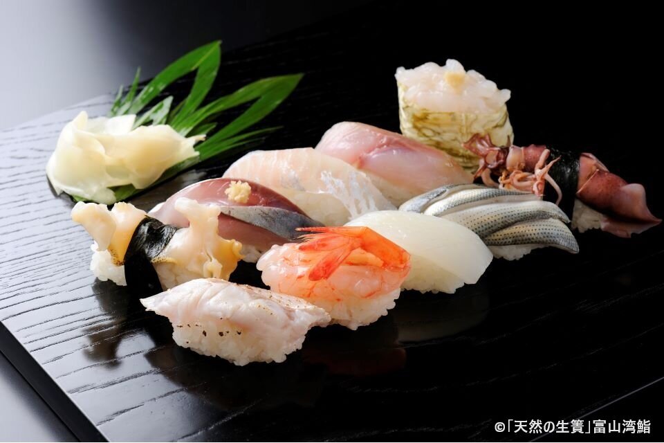キャプあり　魚種豊富な富山湾の地魚をネタにした「富山湾鮨」.jpg