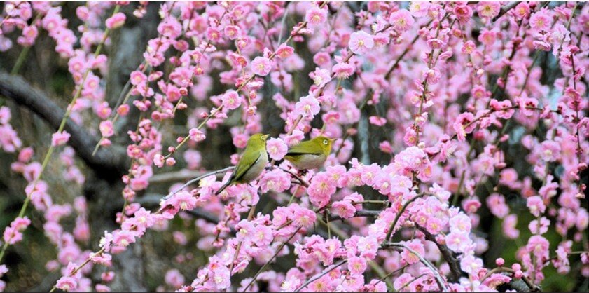 城南宮07image275.jpg
