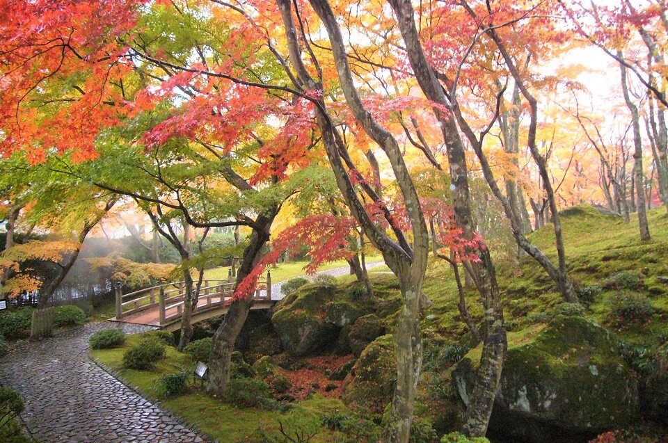 箱根美術館 紅葉の苔庭.jpg