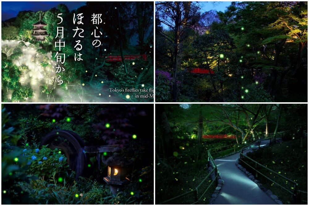 スケジュール4画像