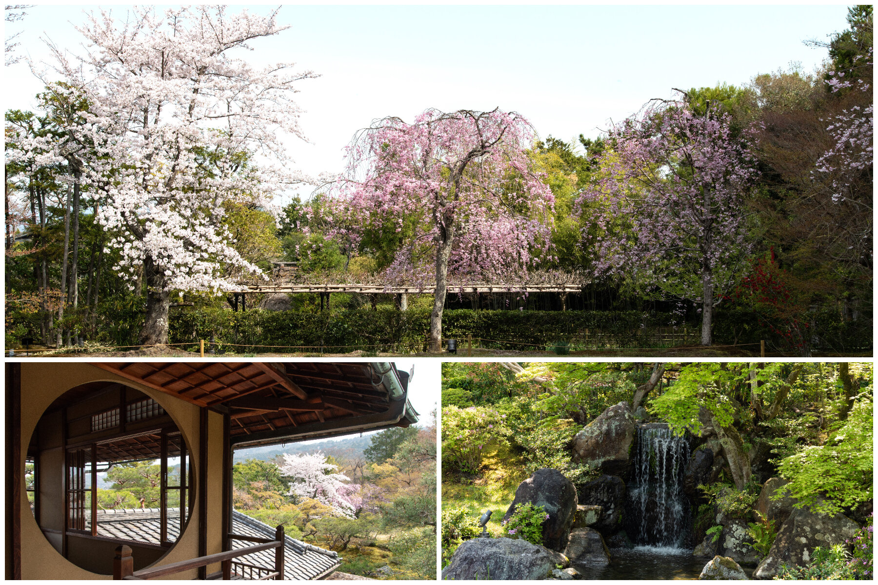 對龍山荘コラージュ.jpg