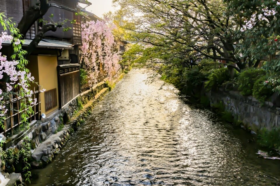 sフリー　祇園2428214_m.jpg