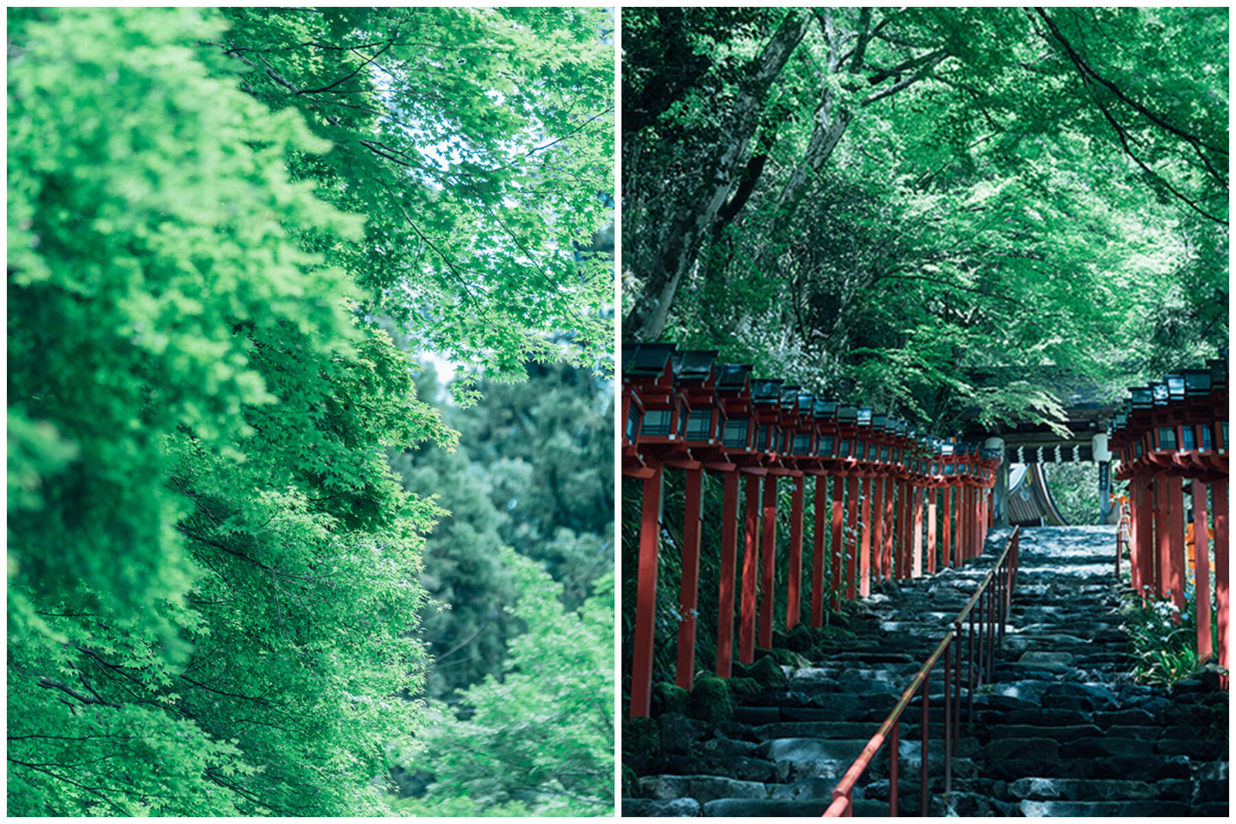 貴船神社08_.jpg